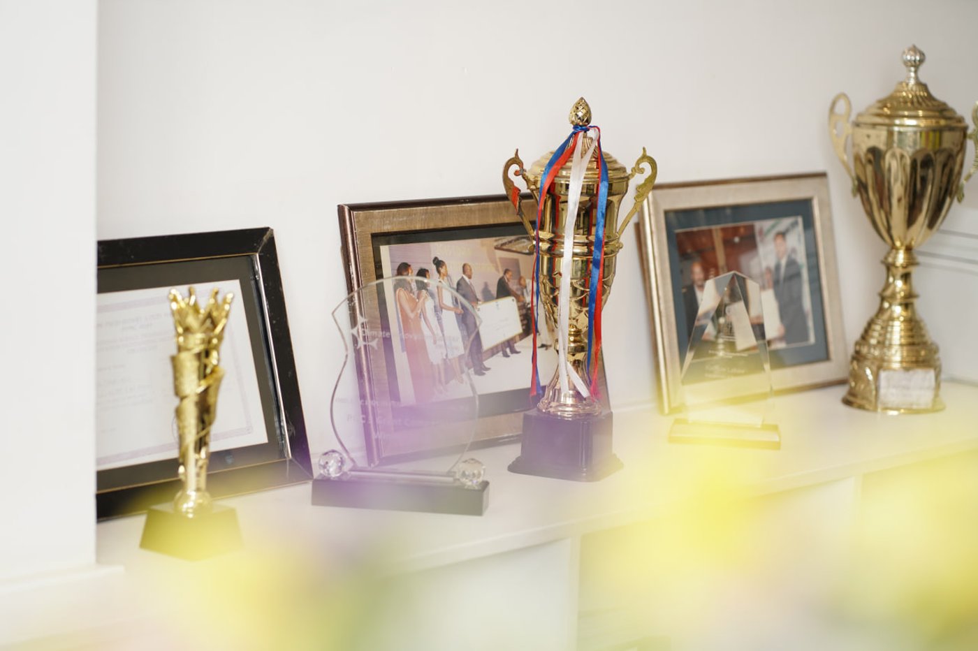 Eco Green awards and trophies displayed on a shelf