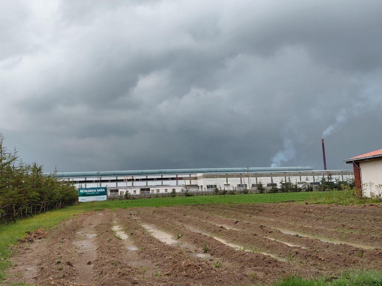 Freshly furrowed research plots with the factory behind